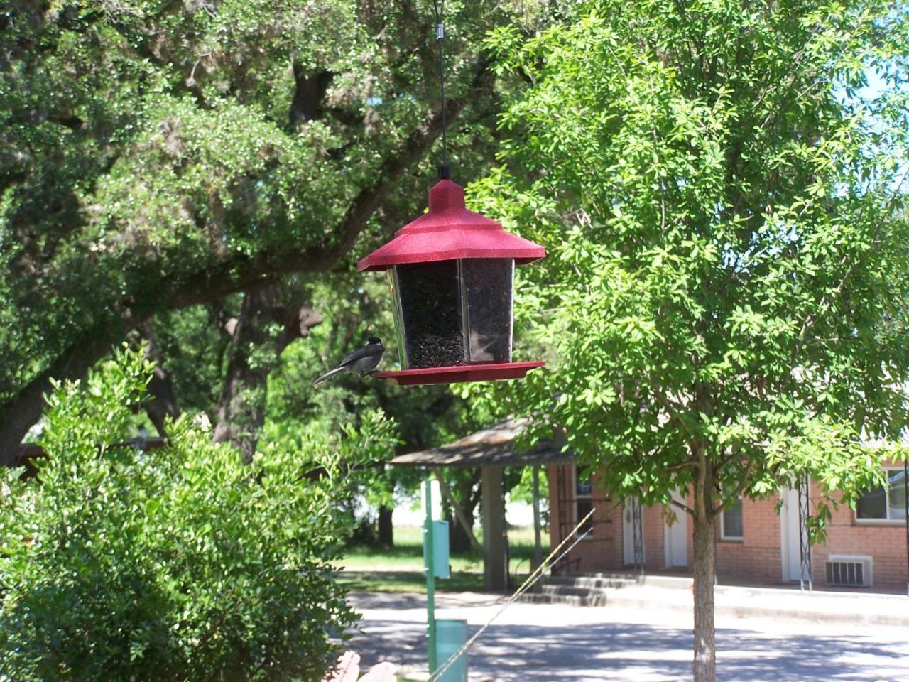Blanco County Inn & Guesthouses Exterior foto